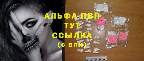 стаф Алексин