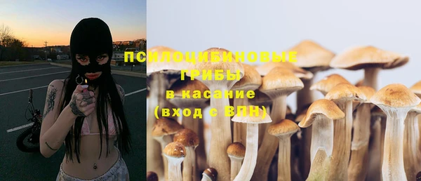 PSILOCYBIN Абдулино