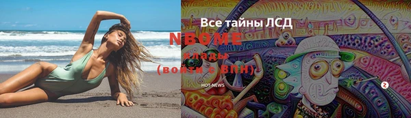 стаф Алексин